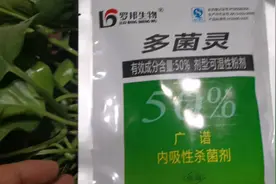针对植物病害，多菌灵真是一个万能神药，防治统筹视频封面