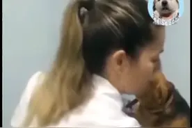 当狗狗完全信任人类视频封面