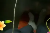 亲爱的你过得怎么样，视频封面