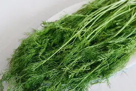 女人常吃4种食物，妇科炎症不打扰，排毒又消炎，提高免疫力