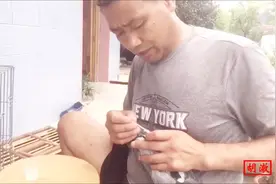 农村大叔说：像这样做毛滴虫清理对鸽子最安全，看看它用的啥方法