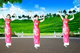 李香香广场舞，旗袍女子，风情万种，《旗袍女儿情》。视频封面