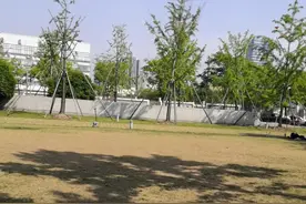 老人玩响铃，健身又健脑。视频封面