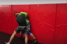 李景亮和张立鹏视频封面