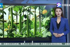 凉拌黑木耳引发中毒？夏天食物容易腐败生菌，食用要确保新鲜洁净视频封面