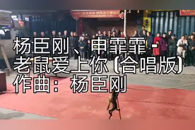 新歌首发，杨臣刚申霏霏《老鼠爱上你》，好听真好听！