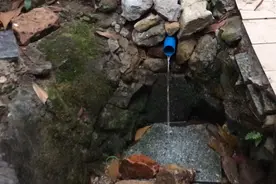 爬广州白云山，打矿泉水，很多泉眼，看看什么是优质水源视频封面