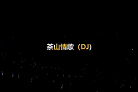 杨钰莹甜美女声 《茶山情歌》DJ 超重低音电子动感旋律 太好听了