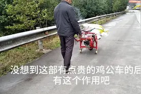 春耕进行时：这个鸡公车驮两大袋粮，能单手扶着走，后轮有用吗视频封面