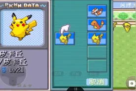 口袋妖怪火红版第二期获得灰色徽章