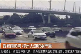 成都：受暴雨影响梓州大道积水严重，过往车辆和行人注意安全视频封面