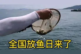 茂名放鱼日来了，茂名市滨海新区2020年增殖放流活动来了视频封面