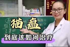 猫瘟，猫传腹，猫鼻支，猫尿闭都是猫咪的常见病，到底该如何治疗