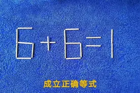 6十6＝1移动一根成立，你来试试看
