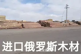 中蒙边境二连浩特市，进口俄罗斯木材市场，正在复工。视频封面