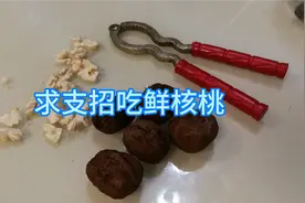 求广大网友支招！如何吃鲜核桃？去中间那层涩口的外皮视频封面