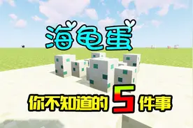 我的世界：海龟蛋你不知道的5件事，千万别在僵尸旁边孵化海龟！