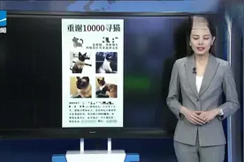 强行社交？航旅纵横回应泄露隐私：是虚拟身份视频封面