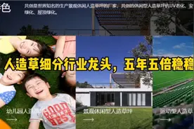 人造草细分行业龙头，五年五倍稳稳的