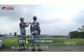空军兵哥多方式驱鸟，保障飞行安全视频封面