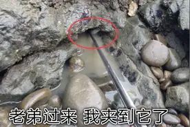 小伙第一次出来赶海，发现水坑有动静，抽干后这样抓才过瘾