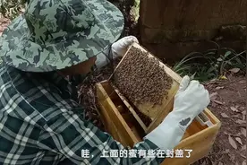 严重工产群介王近10天，80后农村小伙开箱检查，看看恢复正常了吗视频封面