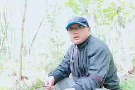 上山的的野菜品种真多，猴腿儿、燕儿夷、荞麦菜，你认识吗视频封面