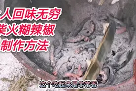 黔北又香又辣的柴火糊辣椒，制作非常简单，吃了让人回味无穷视频封面