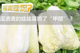 有甲醛？湿漉漉的娃娃菜不能买？ 专家：两招去掉甲醛残留视频封面