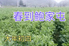 贵州安顺西秀区历史文化名村鲍家屯，初春一片生机。视频封面
