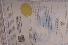 工作证明继续办理。需要的提交材料。[愉快][愉快][愉快]视频封面