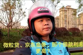 “微粒贷”火遍朋友圈，和京东金条对比，谁的借款利息更高？视频封面