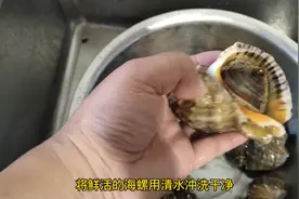 只要方法对轻松取出海螺肉，这样做海螺味道更鲜美，简单易操作