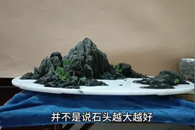 山水盆景制作教程