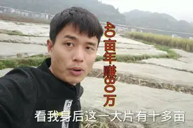 农村搞种植40亩年净赚80万，没人愿意种是因为这些原因