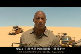 巨石强森因为一只鸵鸟损失宝贵生命视频封面
