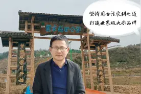 江西萍乡五万亩稻田：竟然用古法耕种，198元一斤的大米卖到脱销视频封面