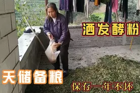 用这样的方式做储备粮，放一年都不会坏，一般人不会告诉他视频封面
