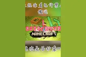 迷你世界抄袭我的世界的证据。