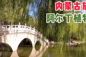内蒙古旅游之包头的阿尔丁植物园 有包头的城市绿肺之美誉！视频封面