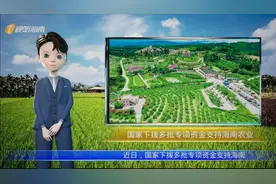国家下拨多批专项资金支持海南农业视频封面