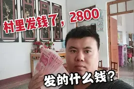 山东农村，老婆去领小麦补贴，领来2800块钱，怎么这么多？视频封面