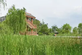 济南华山公园西北侧，亭台楼阁，满眼绿色，漂亮吗