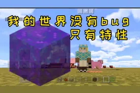 【我的世界】如何在生存模式下获得传送门方块视频封面