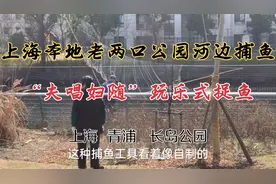 实拍上海本地老两口公园河边用自制网捕鱼，捕的是“乐趣”不是鱼视频封面