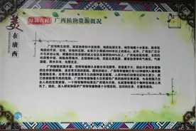 美在广西～绿满八桂-广西特有植物！视频封面