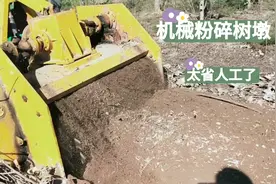 再也不用为树墩子树坑发愁了，直接粉碎树墩作肥料，土地还平整。视频封面