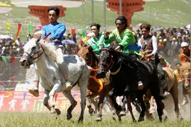 到草原你敢骑没配马鞍的马吗?康巴汉子赛马从来不用,这技术谁能比