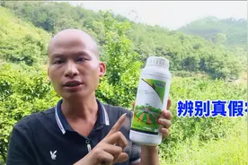 农药辨别真假有妙招，一看二查学会了，打药不再用担心视频封面