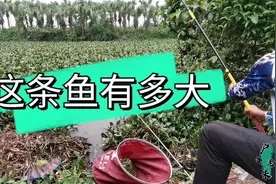 看看老朱中大鱼后这控竿手法，是该好好去学下怎么遛鱼控竿了视频封面